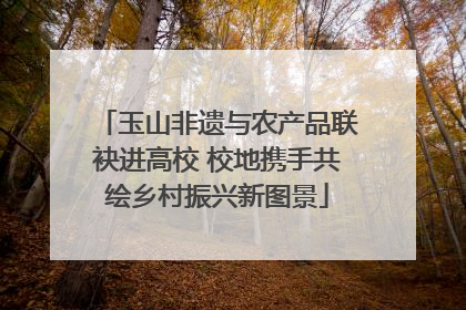 玉山非遗与农产品联袂进高校 校地携手共绘乡村振兴新图景