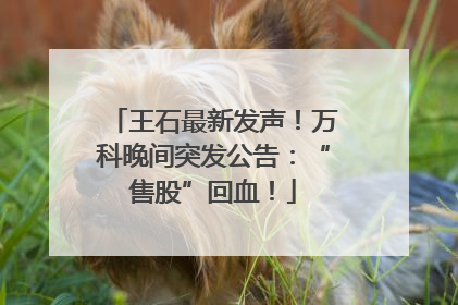 王石最新发声！万科晚间突发公告：“售股”回血！