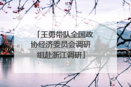 王勇带队全国政协经济委员会调研组赴浙江调研
