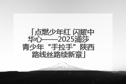 点燃少年红 闪耀中华心——2025浦莎青少年“手拉手”陕西路线丝路续新章