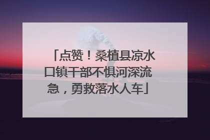 点赞！桑植县凉水口镇干部不惧河深流急，勇救落水人车