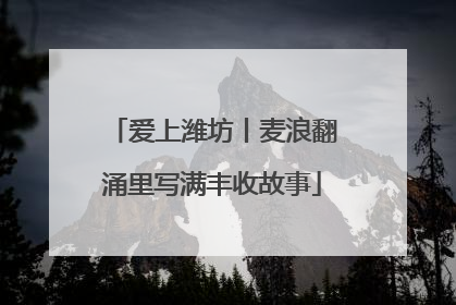 爱上潍坊丨麦浪翻涌里写满丰收故事