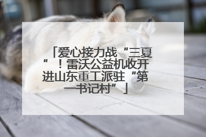 爱心接力战“三夏”！雷沃公益机收开进山东重工派驻“第一书记村”
