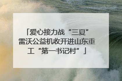爱心接力战“三夏” 雷沃公益机收开进山东重工“第一书记村”