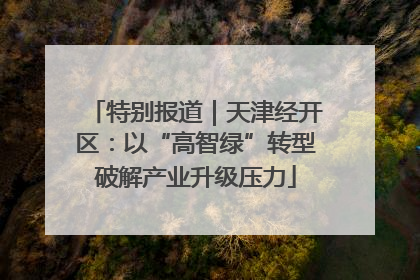 特别报道｜天津经开区：以“高智绿”转型破解产业升级压力