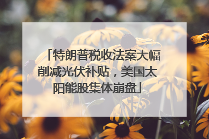 特朗普税收法案大幅削减光伏补贴，美国太阳能股集体崩盘
