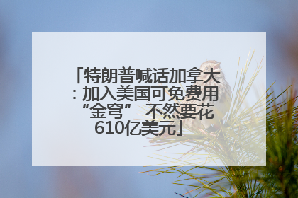 特朗普喊话加拿大：加入美国可免费用“金穹” 不然要花610亿美元
