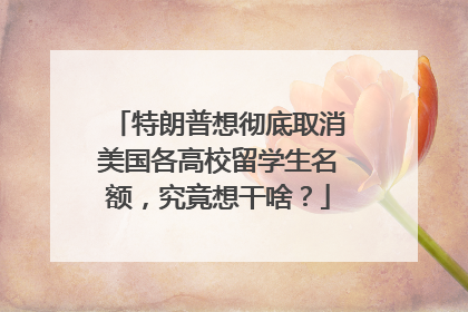 特朗普想彻底取消美国各高校留学生名额，究竟想干啥？
