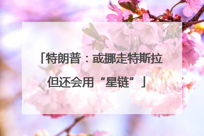 特朗普：或挪走特斯拉 但还会用“星链”