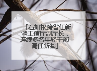 石如根跨省任新疆工信厅副厅长，连续多名年轻干部调任新疆