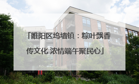 睢阳区坞墙镇：粽叶飘香传文化 浓情端午聚民心