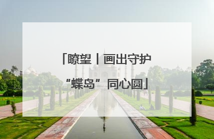 瞭望丨画出守护“蝶岛”同心圆