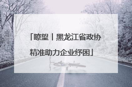 瞭望丨黑龙江省政协精准助力企业纾困