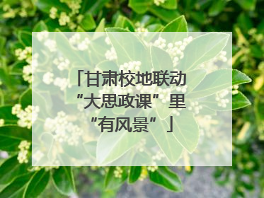 甘肃校地联动“大思政课”里“有风景”