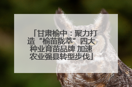 甘肃榆中：聚力打造“榆苗陇萃”四大种业育苗品牌 加速农业强县转型步伐