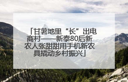 甘薯地里“长”出电商村——新泰80后新农人张甜甜用手机新农具撬动乡村振兴