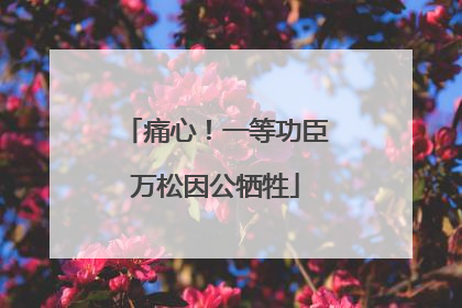 痛心！一等功臣万松因公牺牲