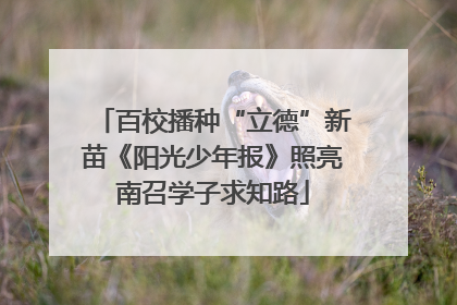 百校播种“立德”新苗《阳光少年报》照亮南召学子求知路