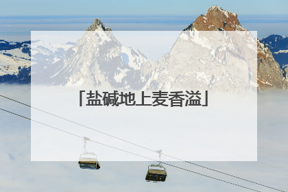 盐碱地上麦香溢