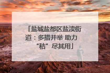 盐城盐都区盐渎街道：多措并举 助力“秸”尽其用