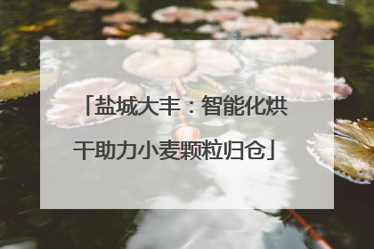 盐城大丰：智能化烘干助力小麦颗粒归仓