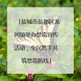 盐城市盐都区龙冈镇举办禁毒宣传活动，全民携手共筑禁毒防线