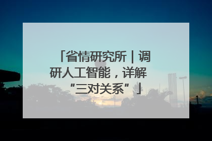 省情研究所｜调研人工智能，详解“三对关系”