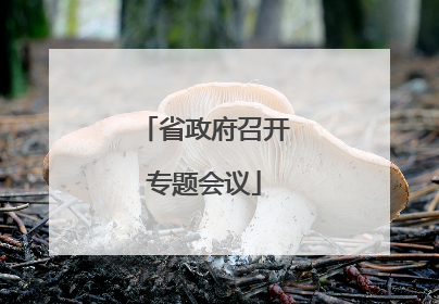 省政府召开专题会议