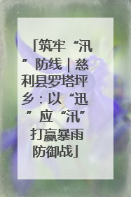 筑牢“汛”防线｜慈利县罗塔坪乡：以“迅”应“汛” 打赢暴雨防御战