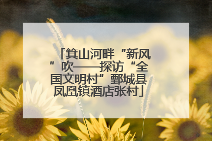 箕山河畔“新风”吹——探访“全国文明村”鄄城县凤凰镇酒店张村