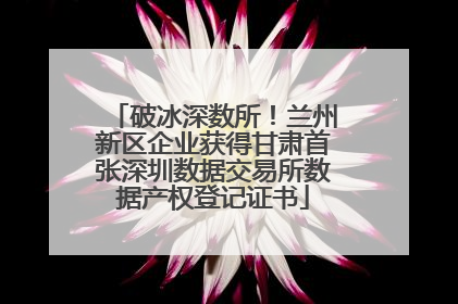 破冰深数所！兰州新区企业获得甘肃首张深圳数据交易所数据产权登记证书