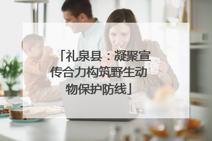 礼泉县：凝聚宣传合力构筑野生动物保护防线