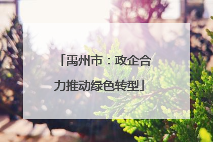 禹州市：政企合力推动绿色转型