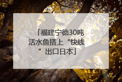 福建宁德30吨活水鱼搭上“快线”出口日本