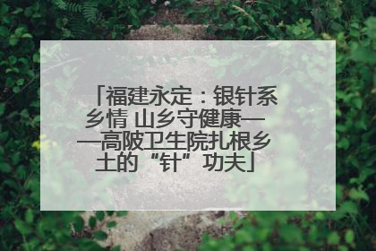 福建永定：银针系乡情 山乡守健康——高陂卫生院扎根乡土的“针”功夫