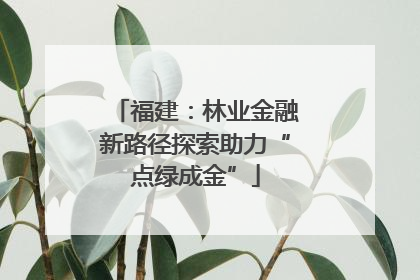 福建：林业金融新路径探索助力“点绿成金”