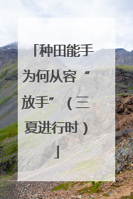 种田能手为何从容“放手”（三夏进行时）