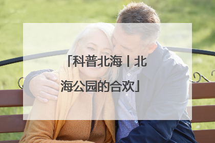 科普北海丨北海公园的合欢