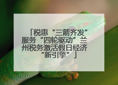 税惠“三箭齐发”服务“四轮驱动”兰州税务激活假日经济“新引擎”