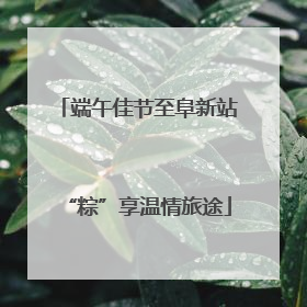 端午佳节至阜新站“粽”享温情旅途