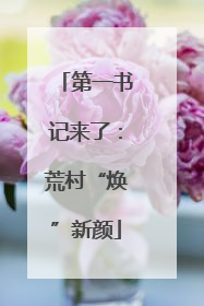 第一书记来了：荒村“焕”新颜
