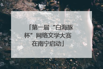 第一届“白海豚杯”网络文学大赛在南宁启动