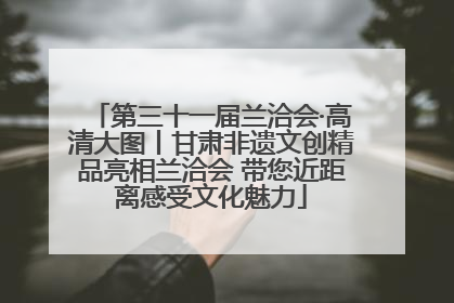 第三十一届兰洽会·高清大图丨甘肃非遗文创精品亮相兰洽会 带您近距离感受文化魅力