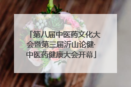 第八届中医药文化大会暨第三届沂山论健·中医药健康大会开幕
