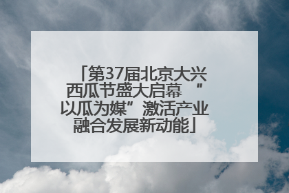 第37届北京大兴西瓜节盛大启幕 “以瓜为媒”激活产业融合发展新动能