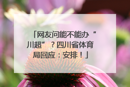 网友问能不能办“川超”？四川省体育局回应：安排！