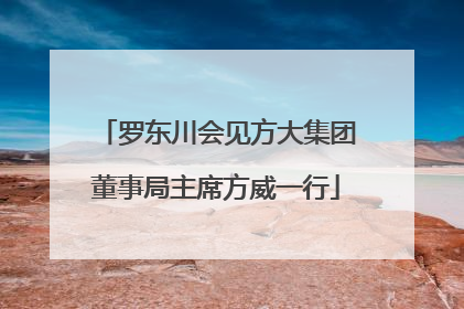 罗东川会见方大集团董事局主席方威一行