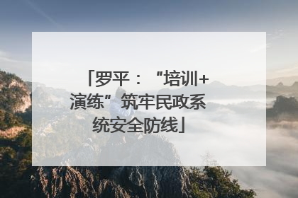 罗平：“培训+演练”筑牢民政系统安全防线