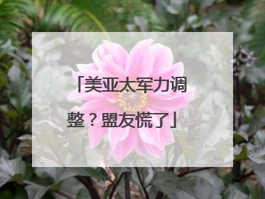 美亚太军力调整？盟友慌了