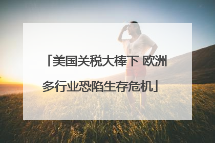 美国关税大棒下 欧洲多行业恐陷生存危机